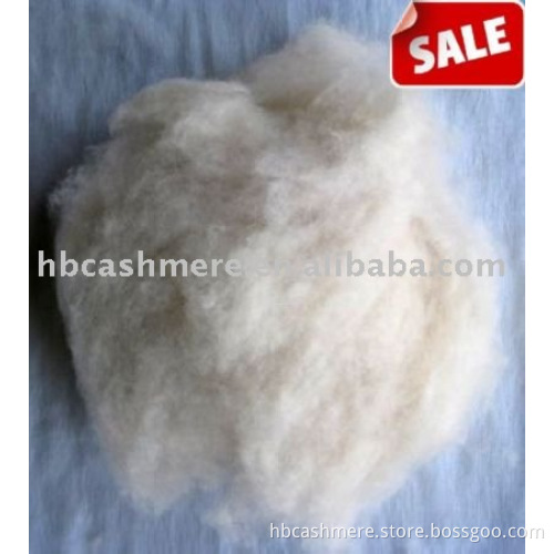 Cashmere Fibers--dehaired light grey cashmere